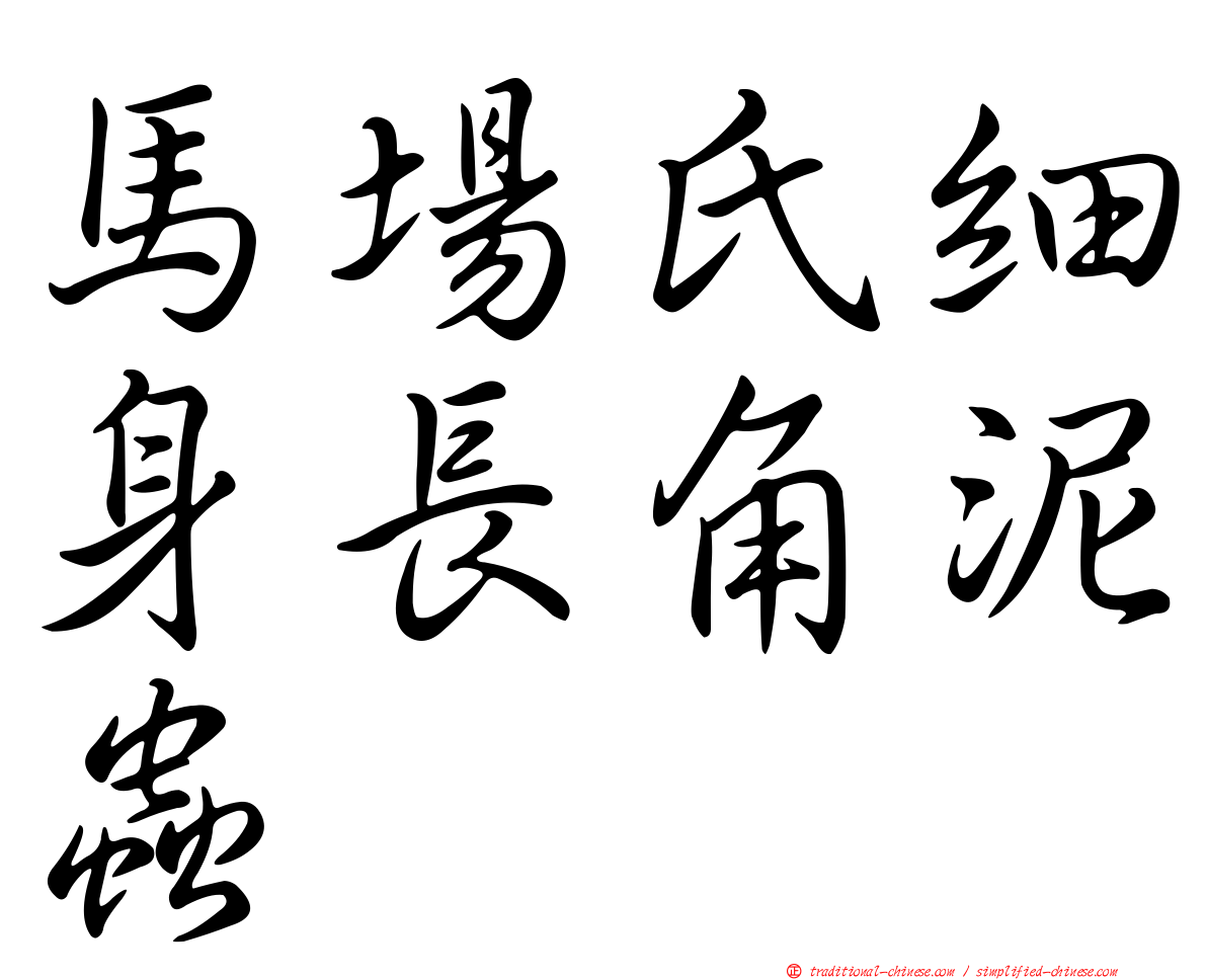 馬場氏細身長角泥蟲