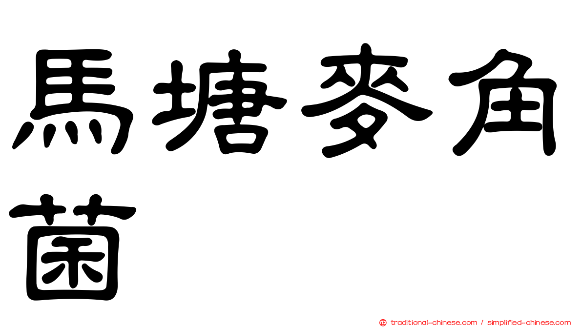 馬塘麥角菌