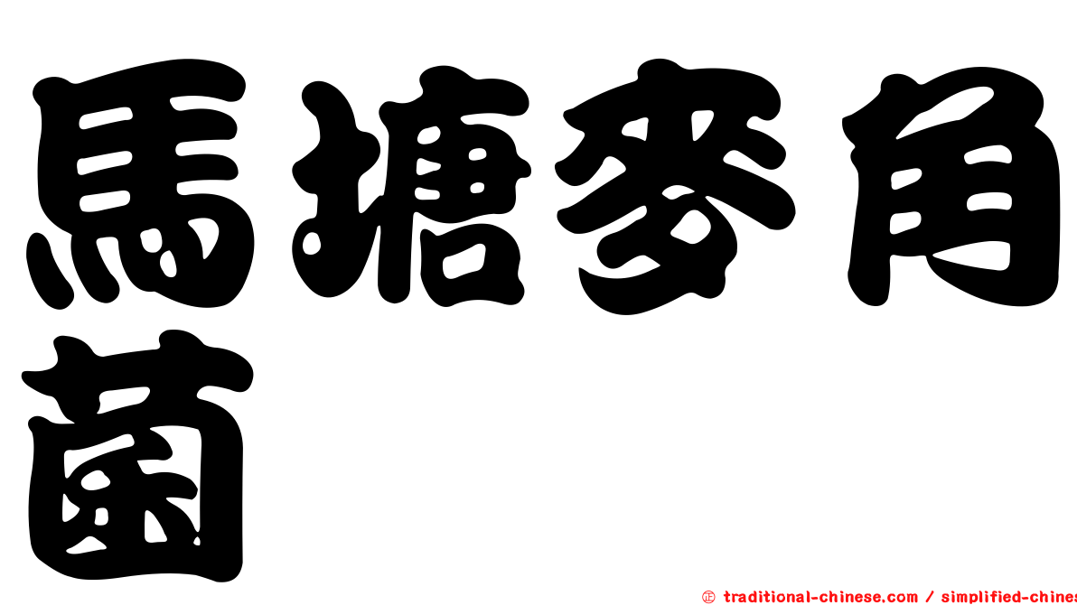 馬塘麥角菌