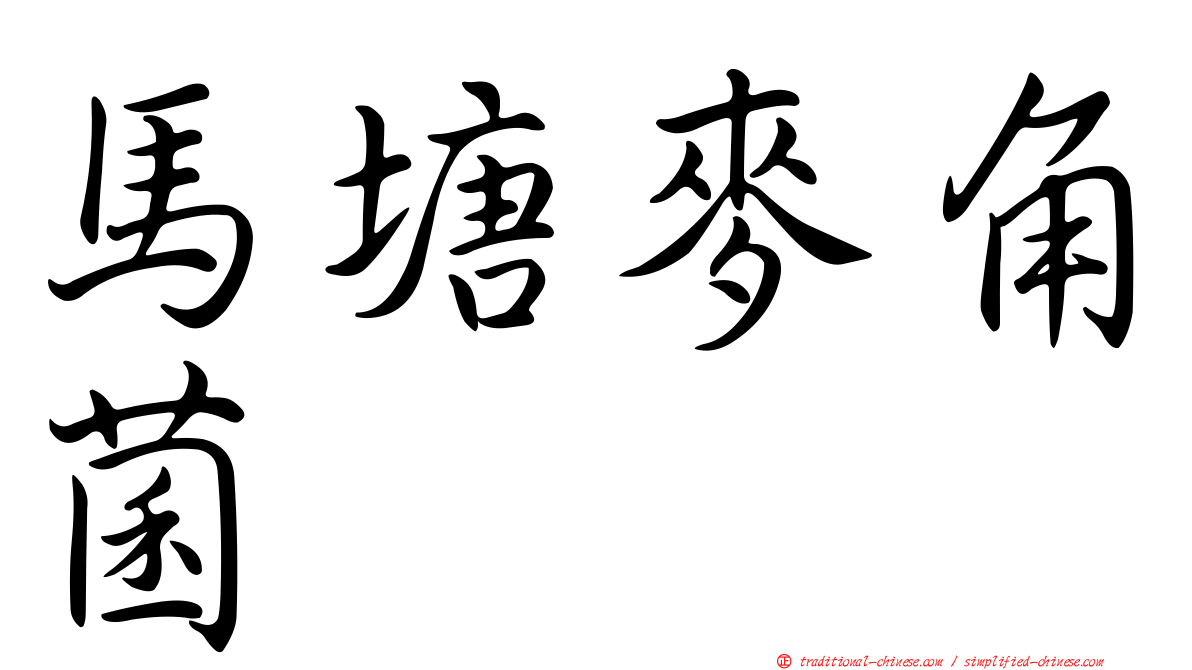 馬塘麥角菌
