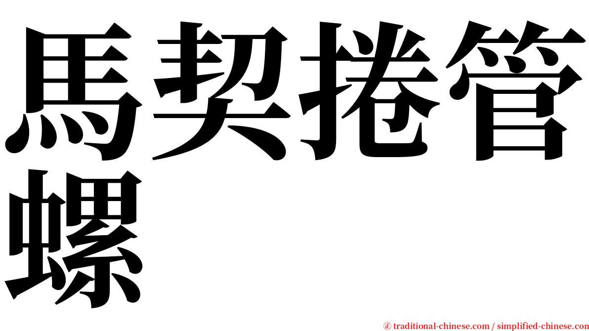 馬契捲管螺 serif font