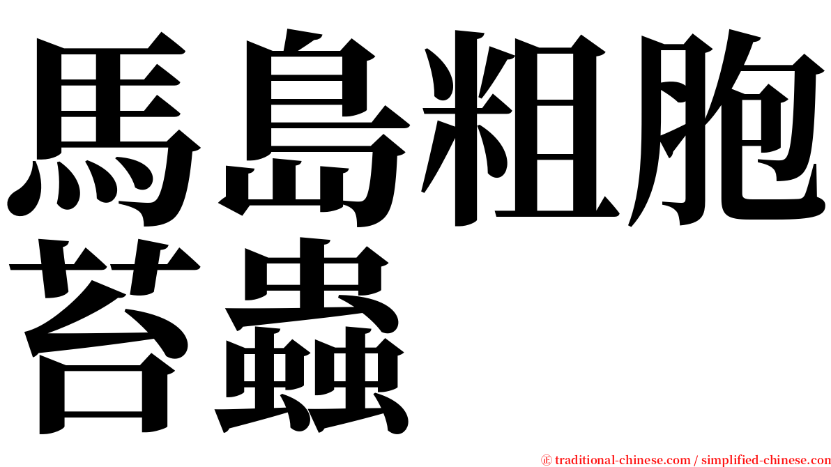 馬島粗胞苔蟲 serif font