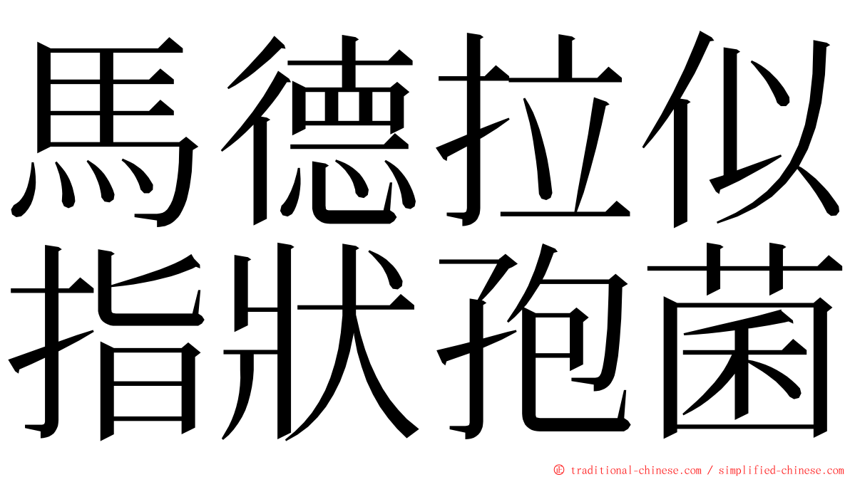 馬德拉似指狀孢菌 ming font