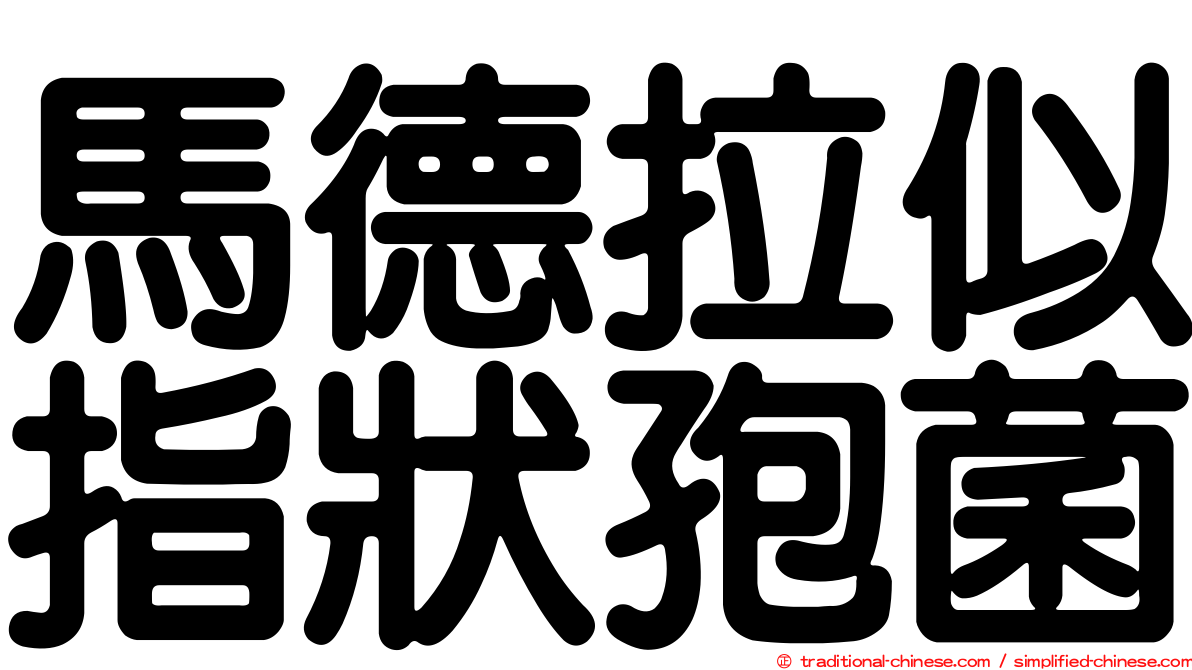 馬德拉似指狀孢菌