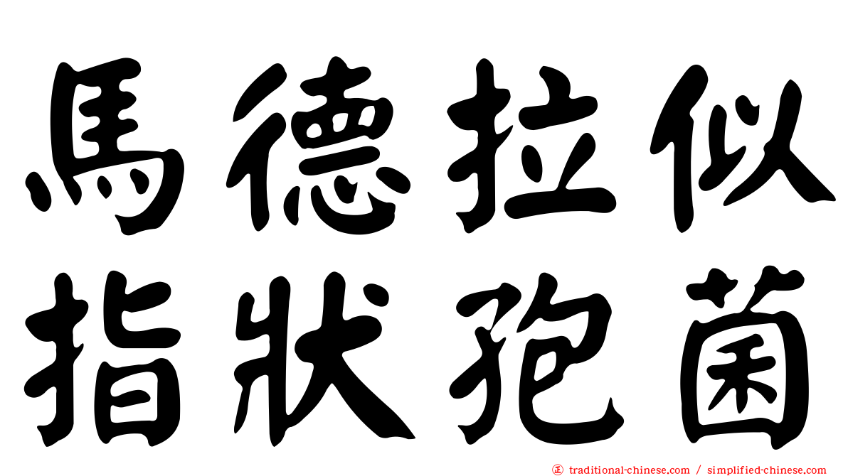 馬德拉似指狀孢菌