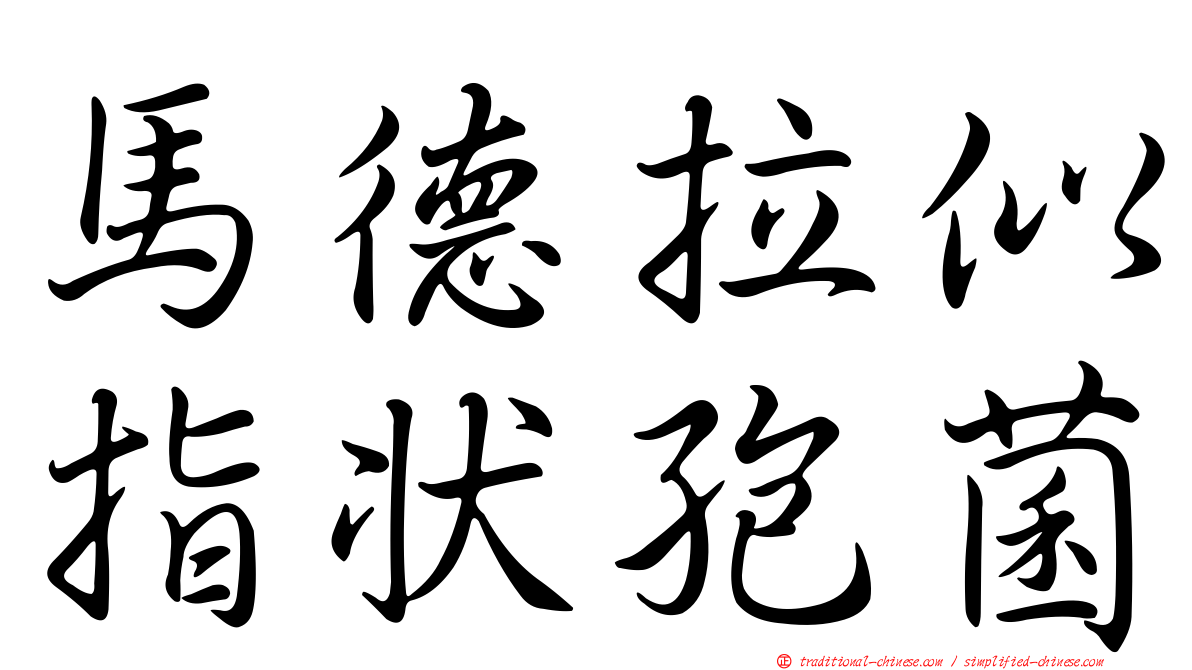 馬德拉似指狀孢菌