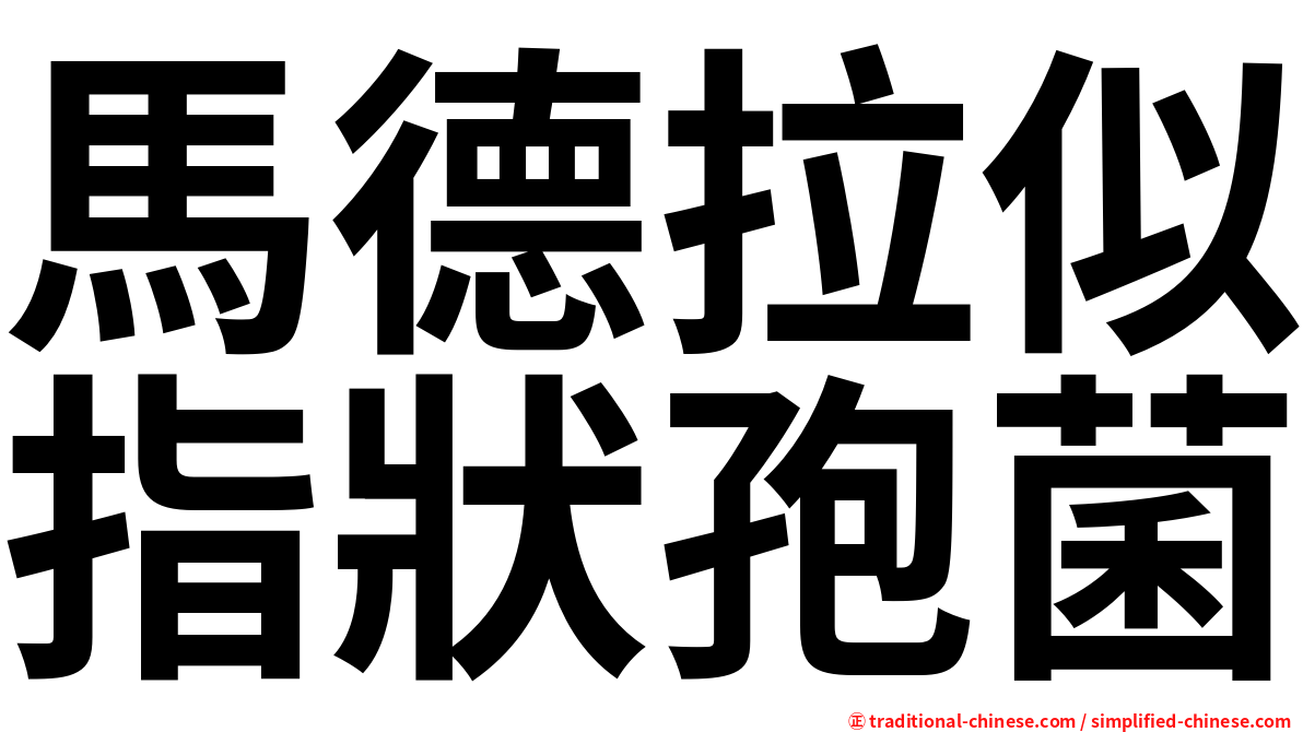 馬德拉似指狀孢菌