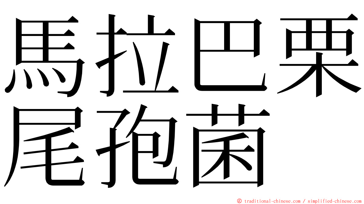 馬拉巴栗尾孢菌 ming font