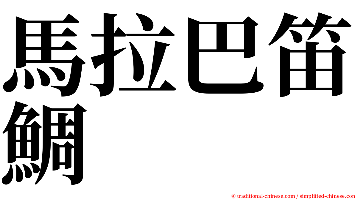 馬拉巴笛鯛 serif font