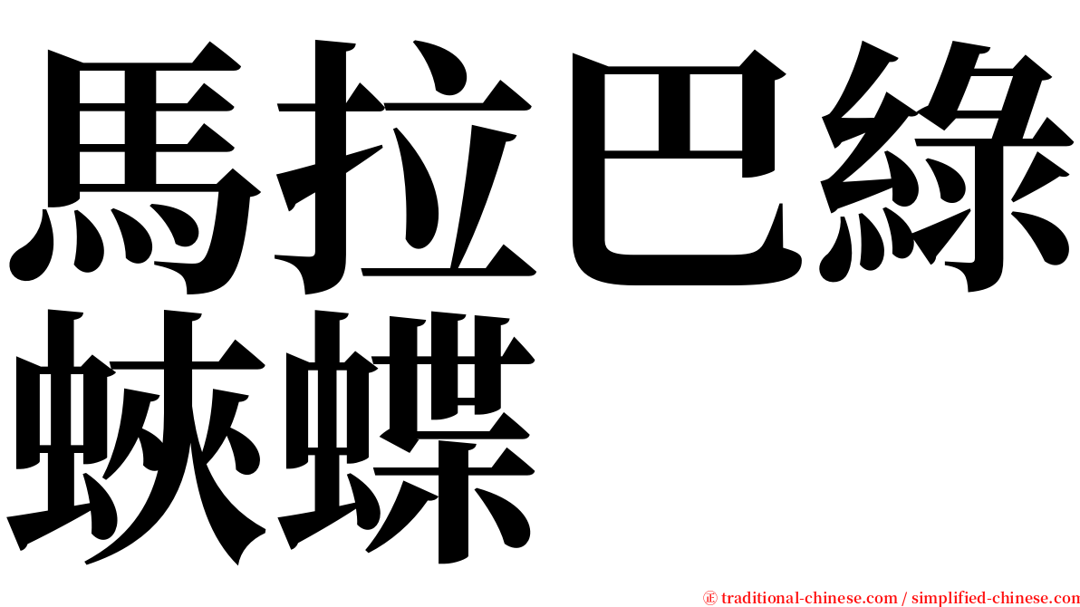 馬拉巴綠蛺蝶 serif font