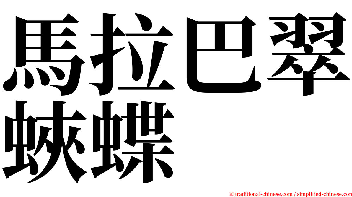 馬拉巴翠蛺蝶 serif font