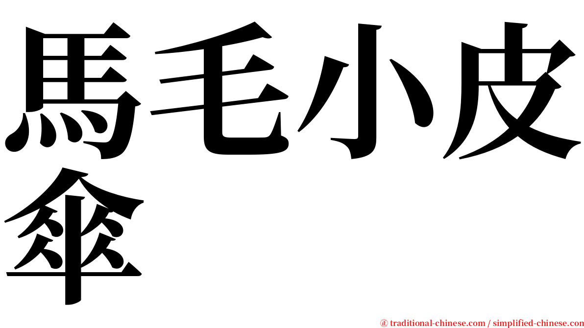 馬毛小皮傘 serif font