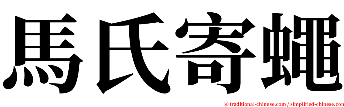 馬氏寄蠅 serif font