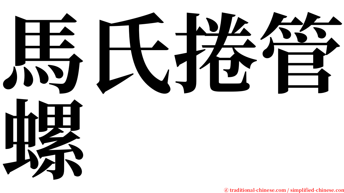 馬氏捲管螺 serif font