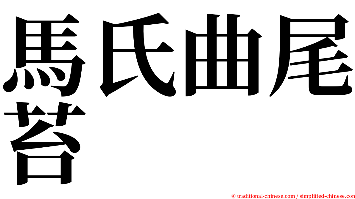 馬氏曲尾苔 serif font