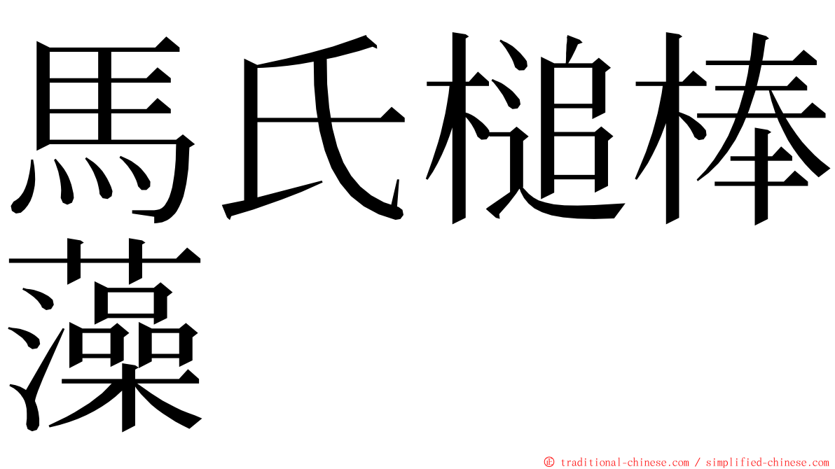 馬氏槌棒藻 ming font