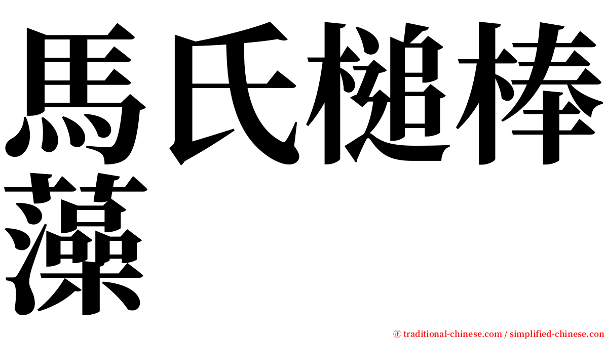 馬氏槌棒藻 serif font