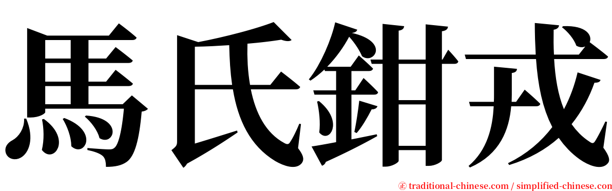 馬氏鉗戎 serif font