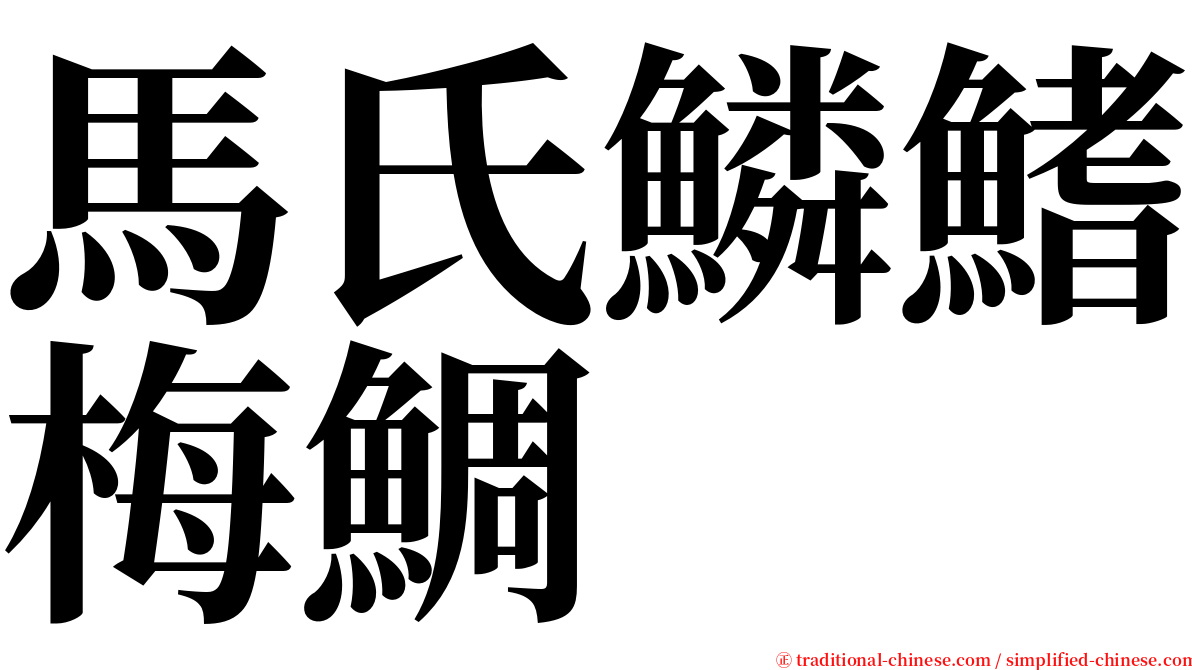 馬氏鱗鰭梅鯛 serif font