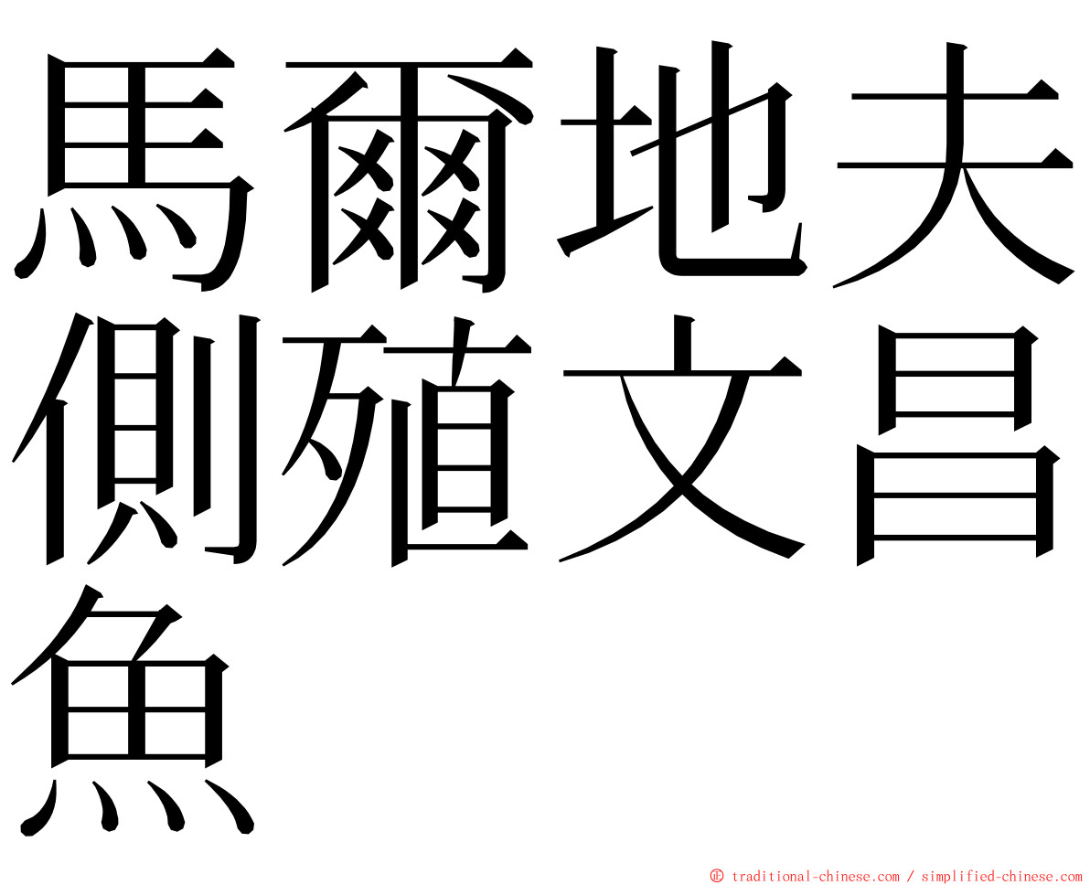 馬爾地夫側殖文昌魚 ming font