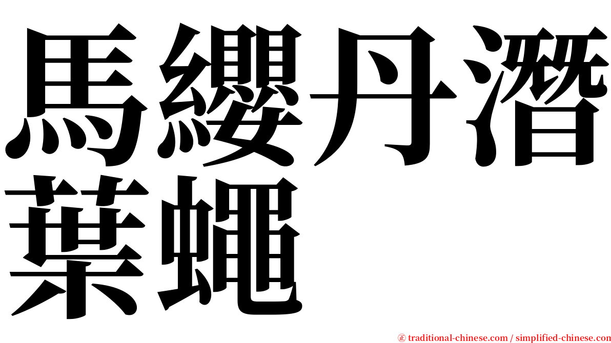 馬纓丹潛葉蠅 serif font