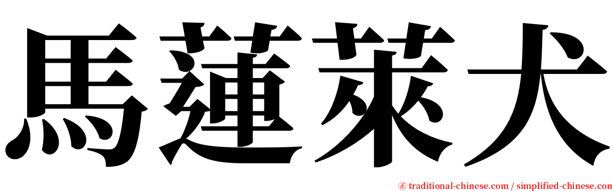 馬蓮萊犬 serif font