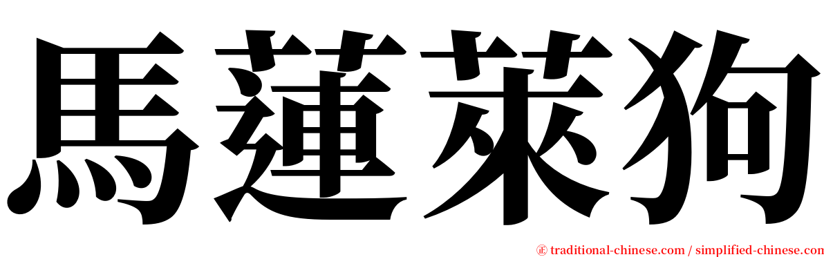 馬蓮萊狗 serif font