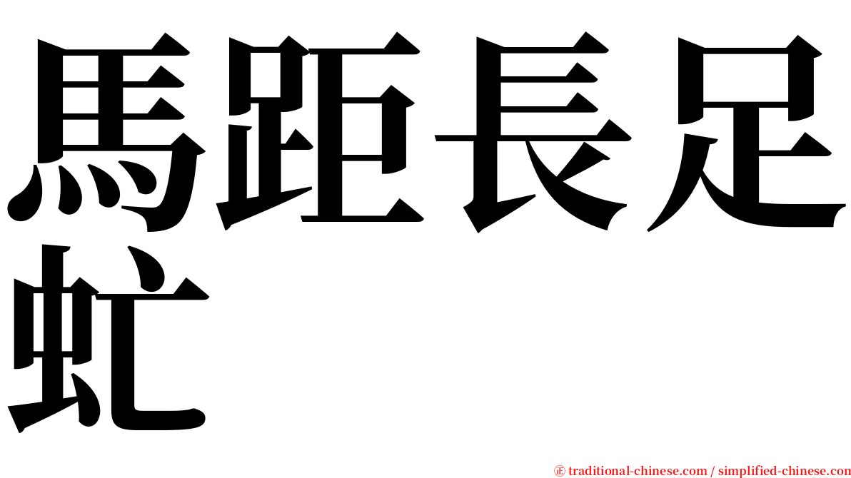 馬距長足虻 serif font