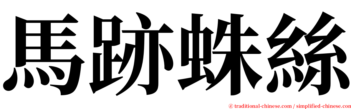 馬跡蛛絲 serif font