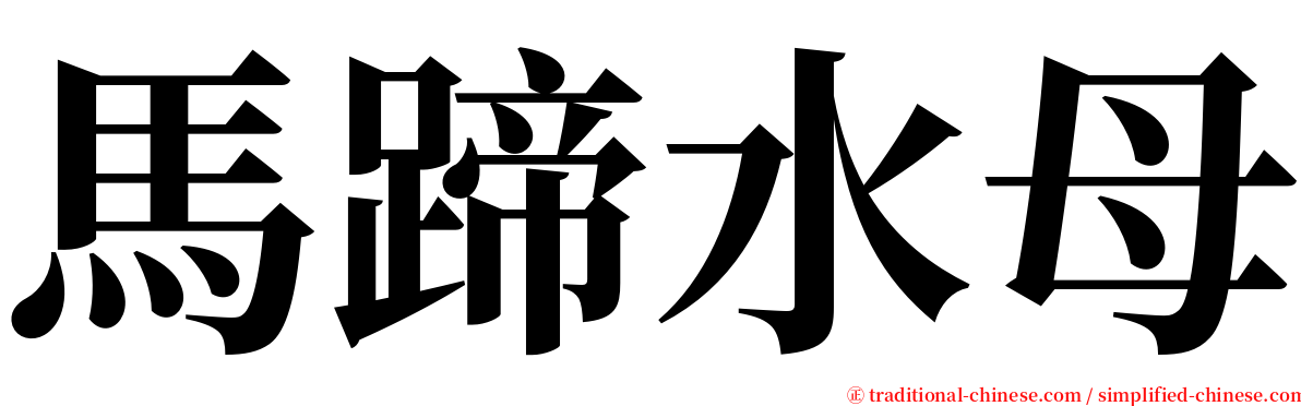 馬蹄水母 serif font