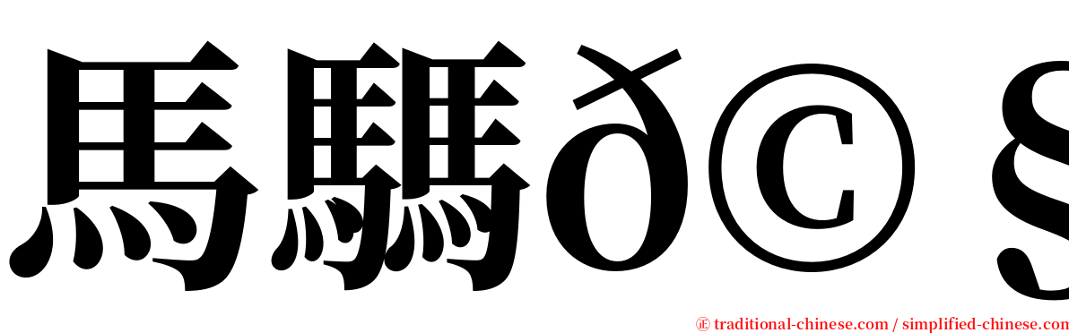 馬騳𩧢驫 serif font
