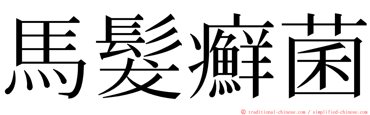 馬髮癬菌 ming font