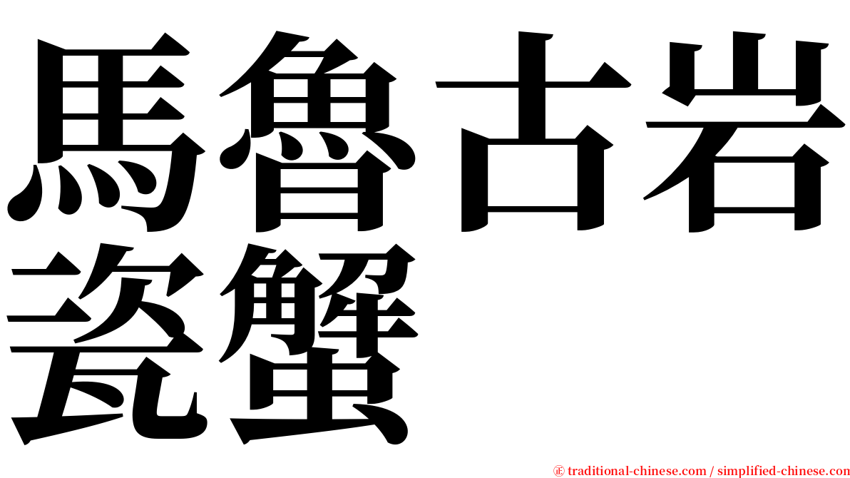 馬魯古岩瓷蟹 serif font