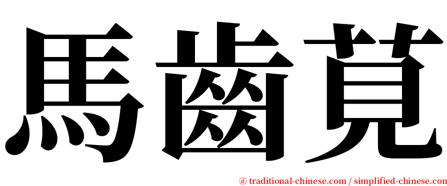 馬齒莧 serif font