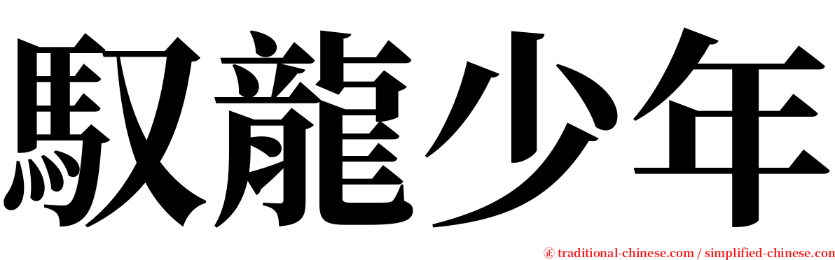 馭龍少年 serif font