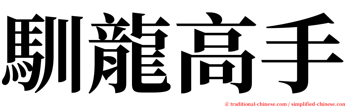 馴龍高手 serif font