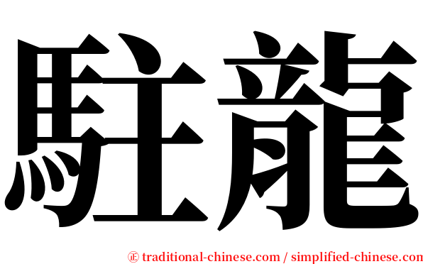 駐龍 serif font