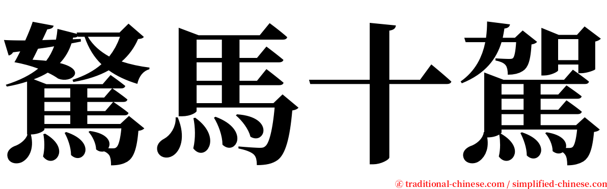 駑馬十駕 serif font