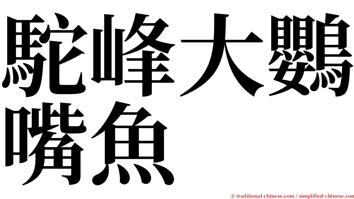 駝峰大鸚嘴魚 serif font
