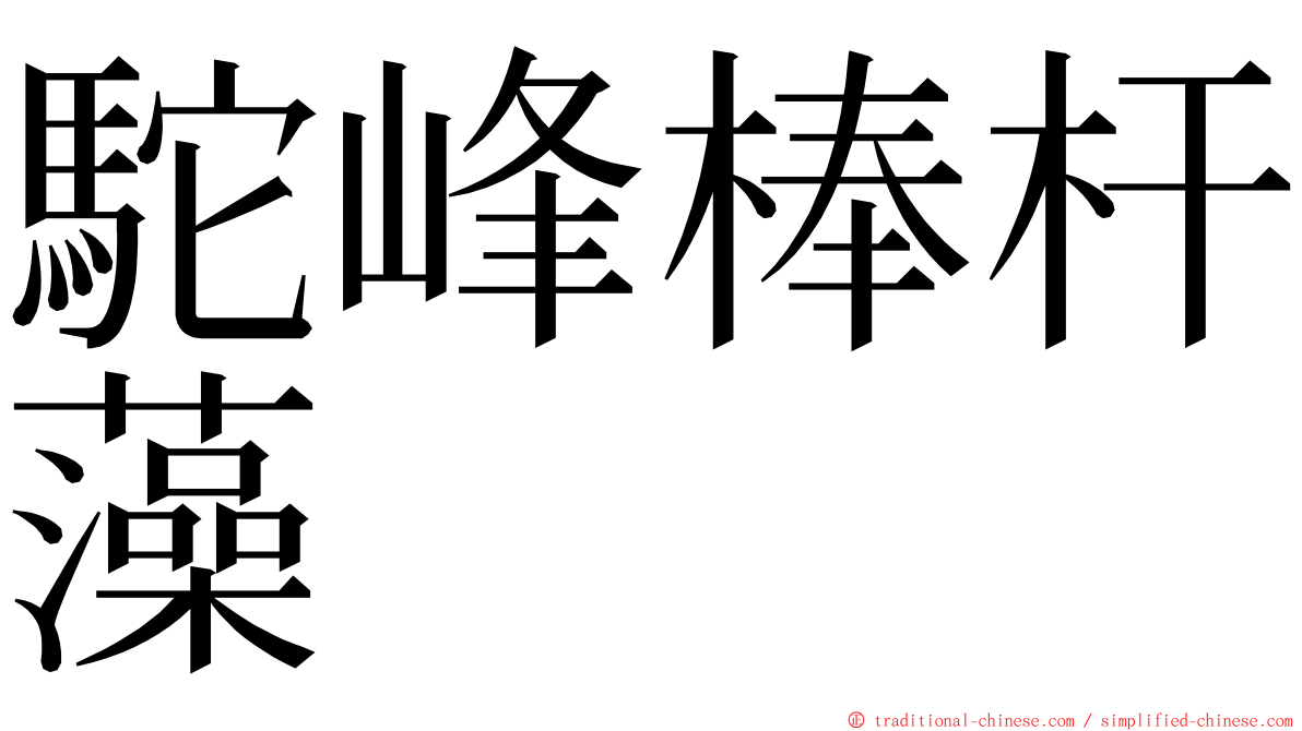 駝峰棒杆藻 ming font