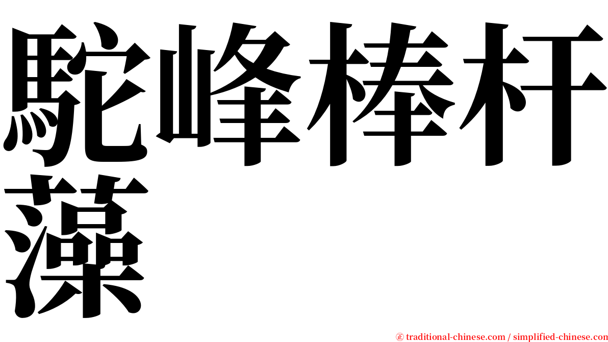 駝峰棒杆藻 serif font