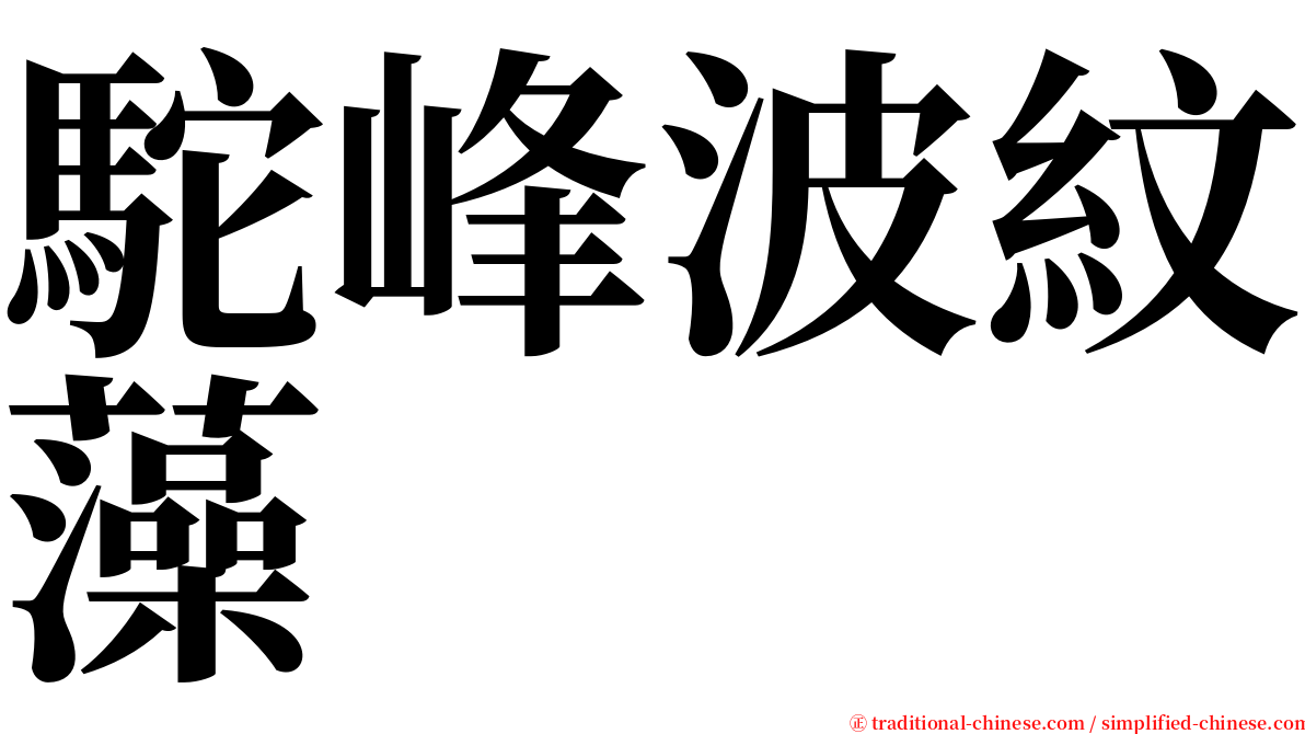 駝峰波紋藻 serif font