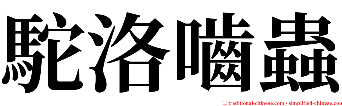 駝洛嚙蟲 serif font