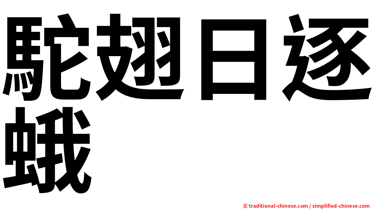 駝翅日逐蛾