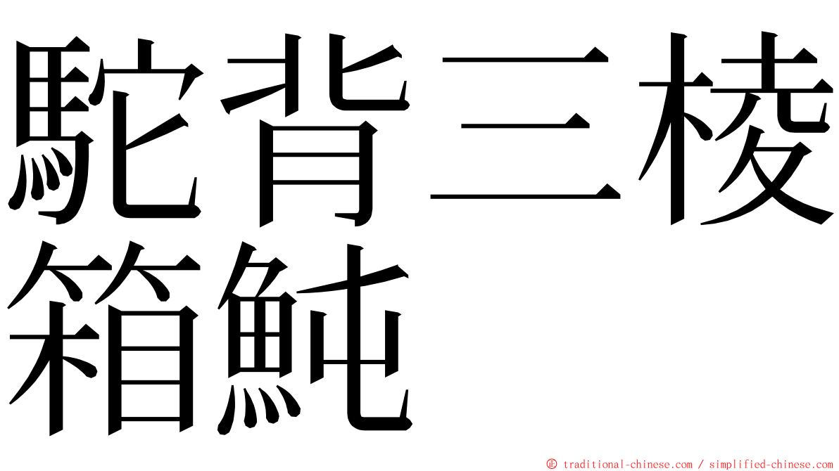 駝背三棱箱魨 ming font