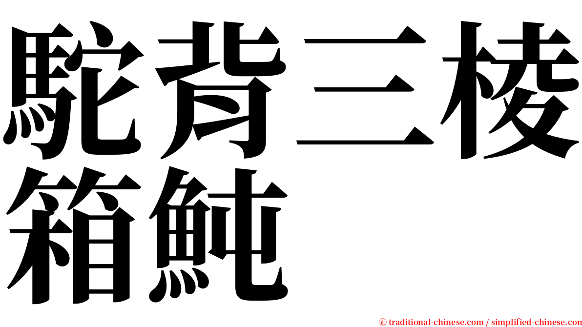 駝背三棱箱魨 serif font