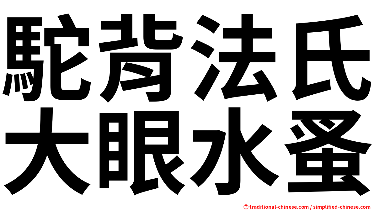 駝背法氏大眼水蚤