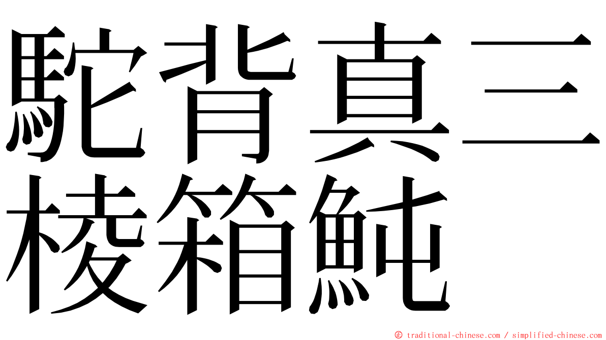 駝背真三棱箱魨 ming font