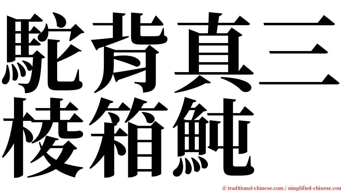 駝背真三棱箱魨 serif font