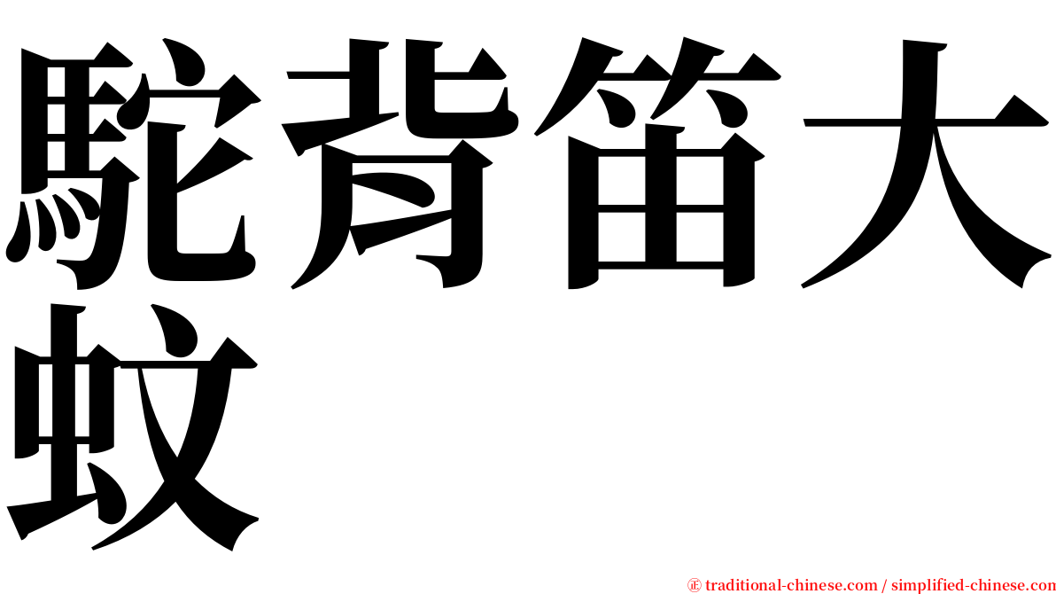 駝背笛大蚊 serif font